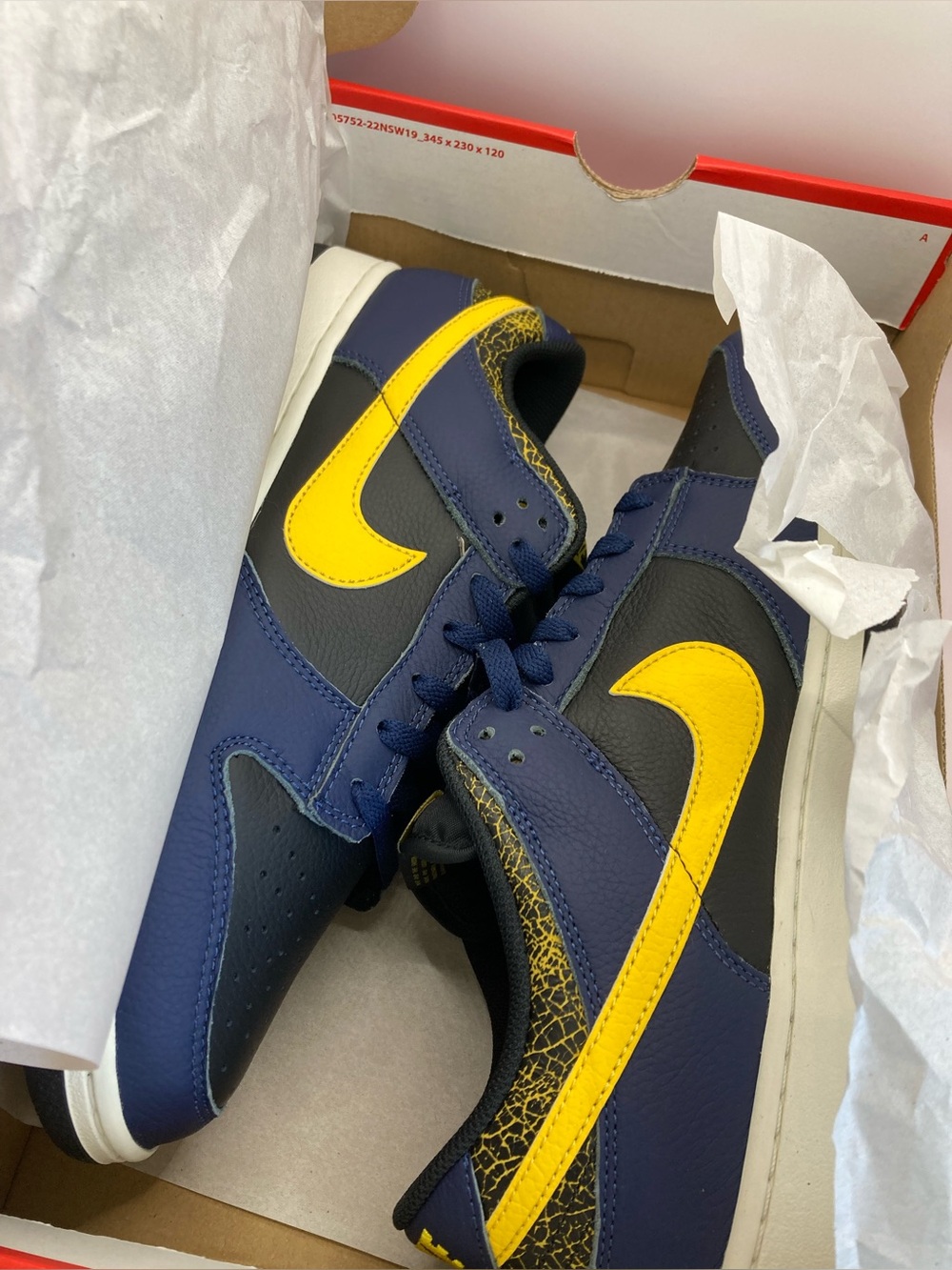Nike Dunk Low Retro M12.5 (NIB)
